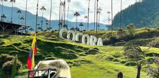 Your Guide to Cocora Valley: Medellin’s Best Weekend Getaway